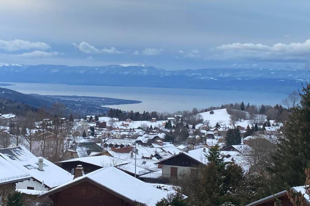 Duplex En Station Vue Sur Lac Leman Thollon-les-Memises Dış mekan fotoğraf