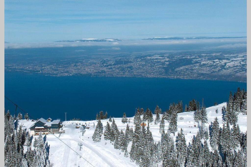 Duplex En Station Vue Sur Lac Leman Thollon-les-Memises Dış mekan fotoğraf