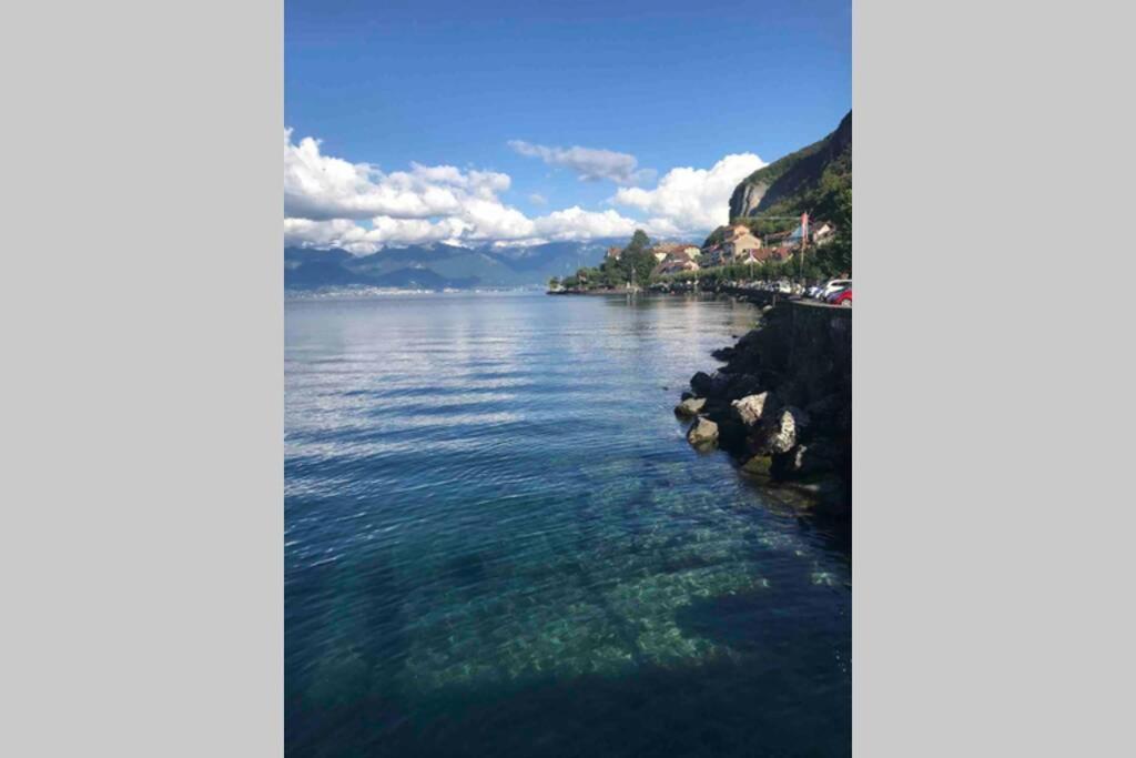 Duplex En Station Vue Sur Lac Leman Thollon-les-Memises Dış mekan fotoğraf