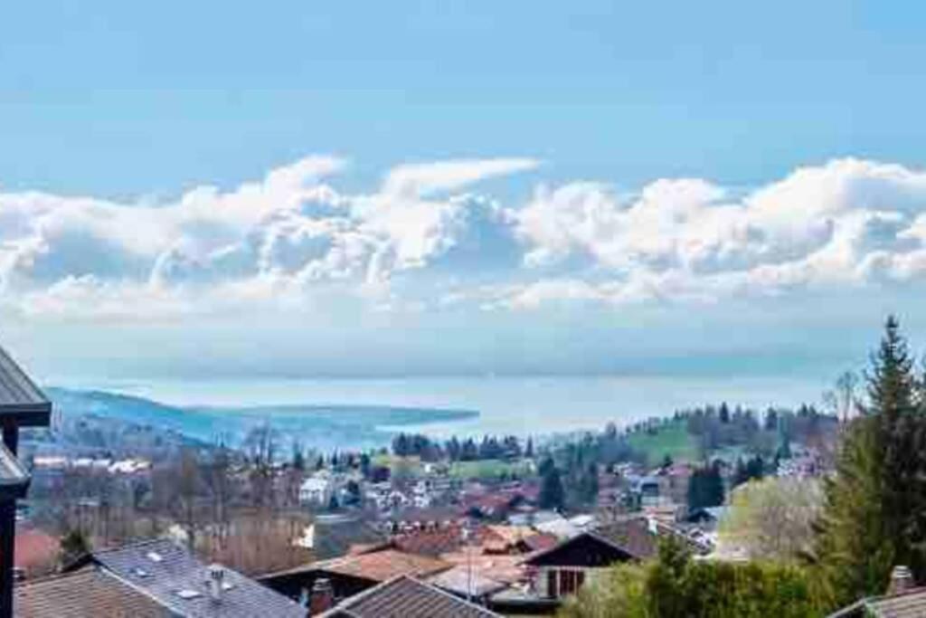 Duplex En Station Vue Sur Lac Leman Thollon-les-Memises Dış mekan fotoğraf
