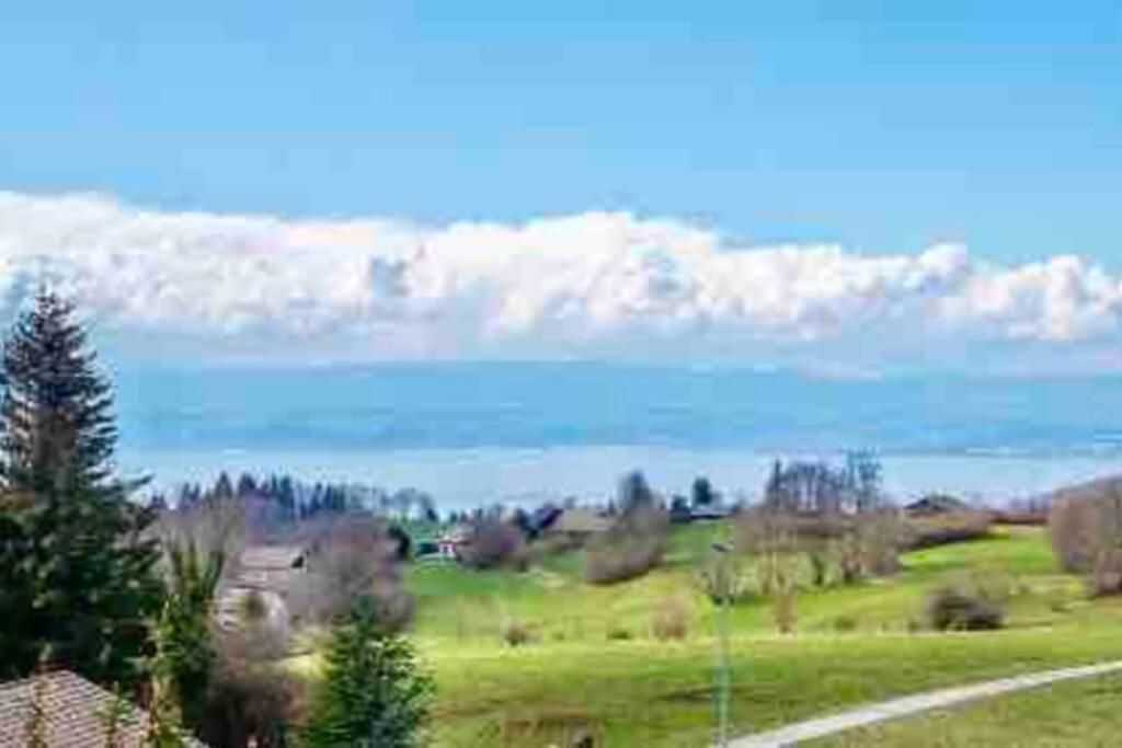 Duplex En Station Vue Sur Lac Leman Thollon-les-Memises Dış mekan fotoğraf
