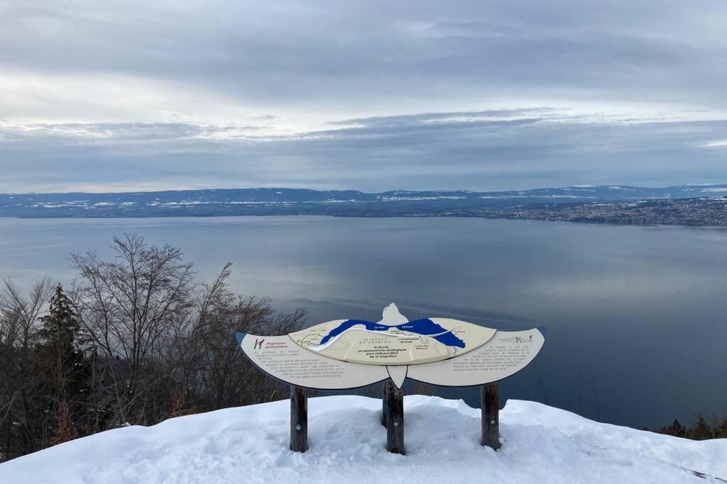 Duplex En Station Vue Sur Lac Leman Thollon-les-Memises Dış mekan fotoğraf