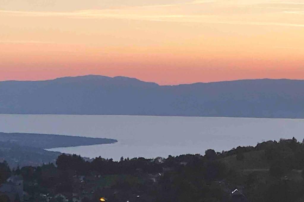Duplex En Station Vue Sur Lac Leman Thollon-les-Memises Dış mekan fotoğraf