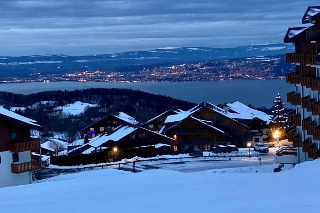 Duplex En Station Vue Sur Lac Leman Thollon-les-Memises Dış mekan fotoğraf