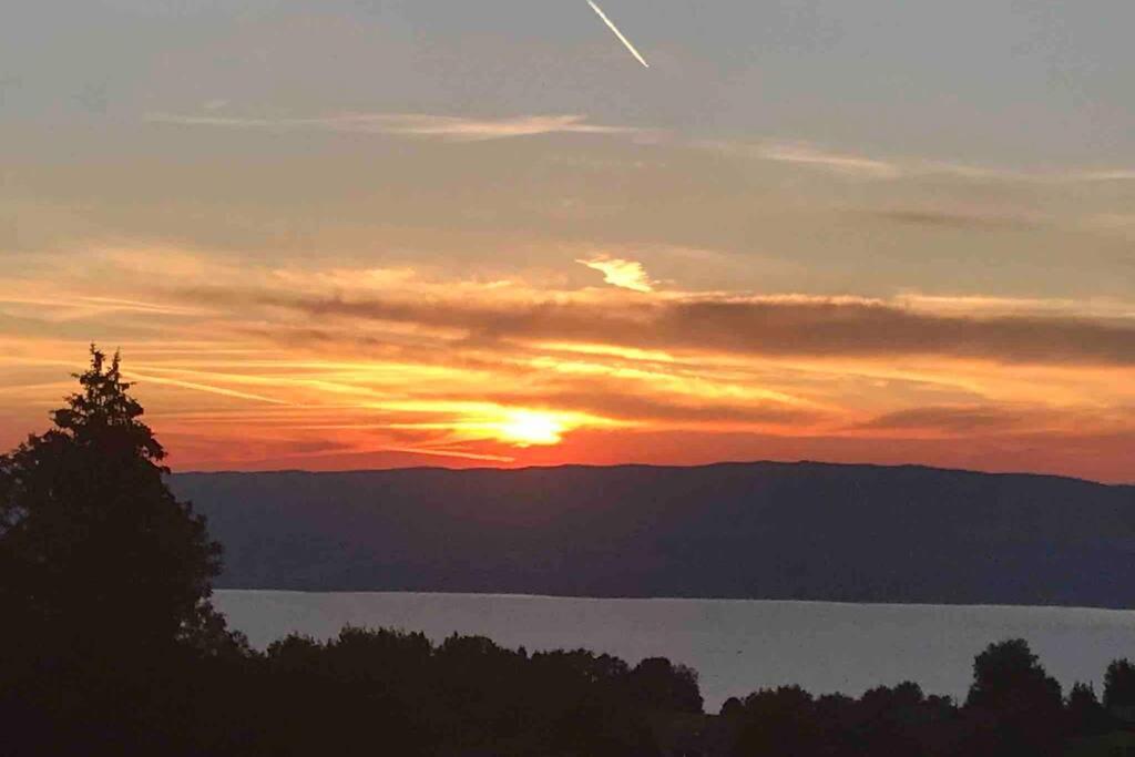 Duplex En Station Vue Sur Lac Leman Thollon-les-Memises Dış mekan fotoğraf