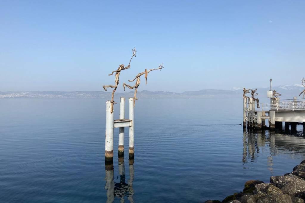 Duplex En Station Vue Sur Lac Leman Thollon-les-Memises Dış mekan fotoğraf
