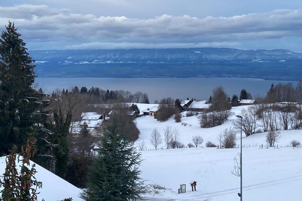 Duplex En Station Vue Sur Lac Leman Thollon-les-Memises Dış mekan fotoğraf