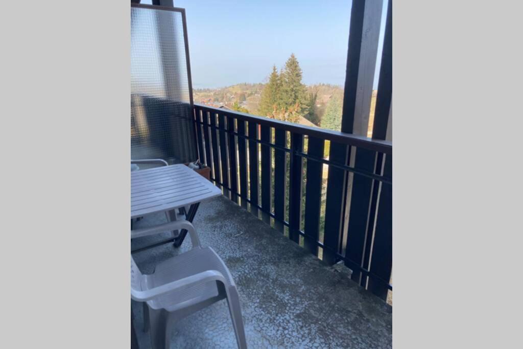 Duplex En Station Vue Sur Lac Leman Thollon-les-Memises Dış mekan fotoğraf